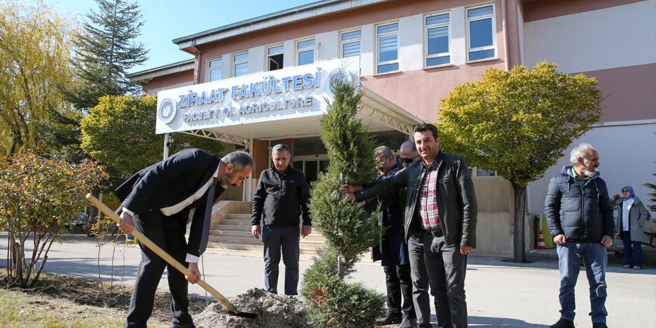 Van'da akademisyenler ve öğrenciler fidan dikti