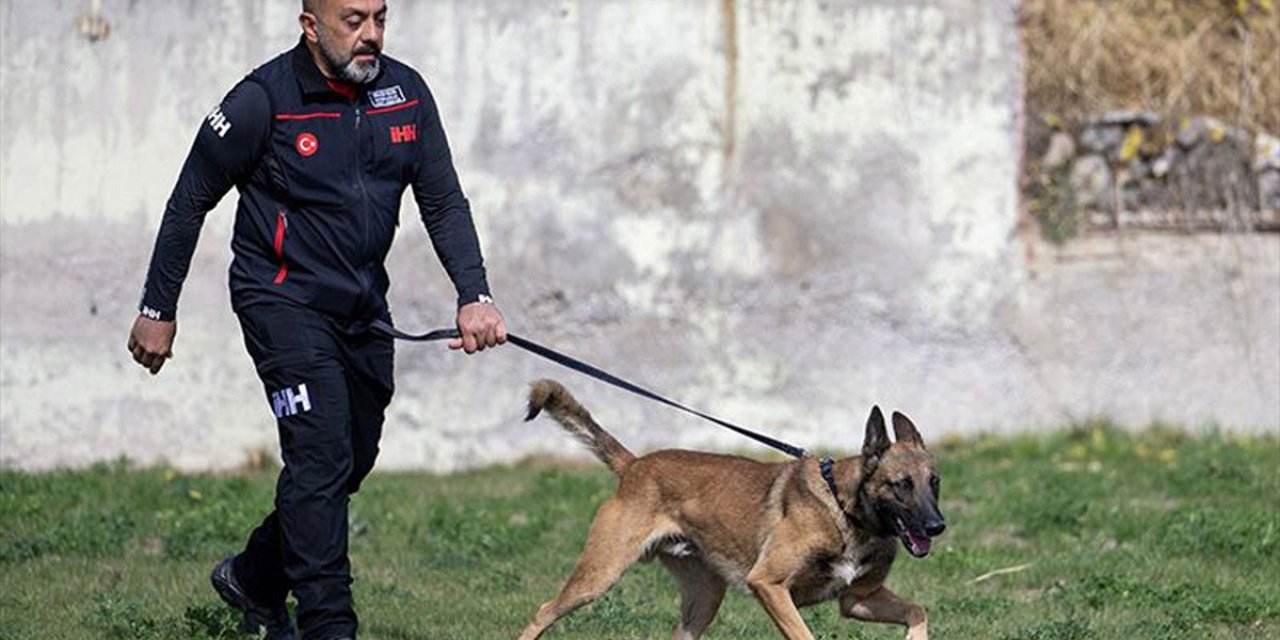 İHH arama kurtarma köpeği ve eğitmeni 122 arama timi arasında birinci oldu