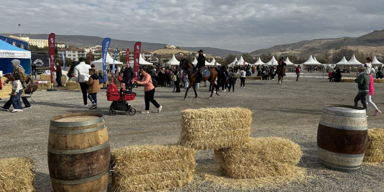 Ürgüp'te ilk defa düzenlenen "At Festivali" başladı