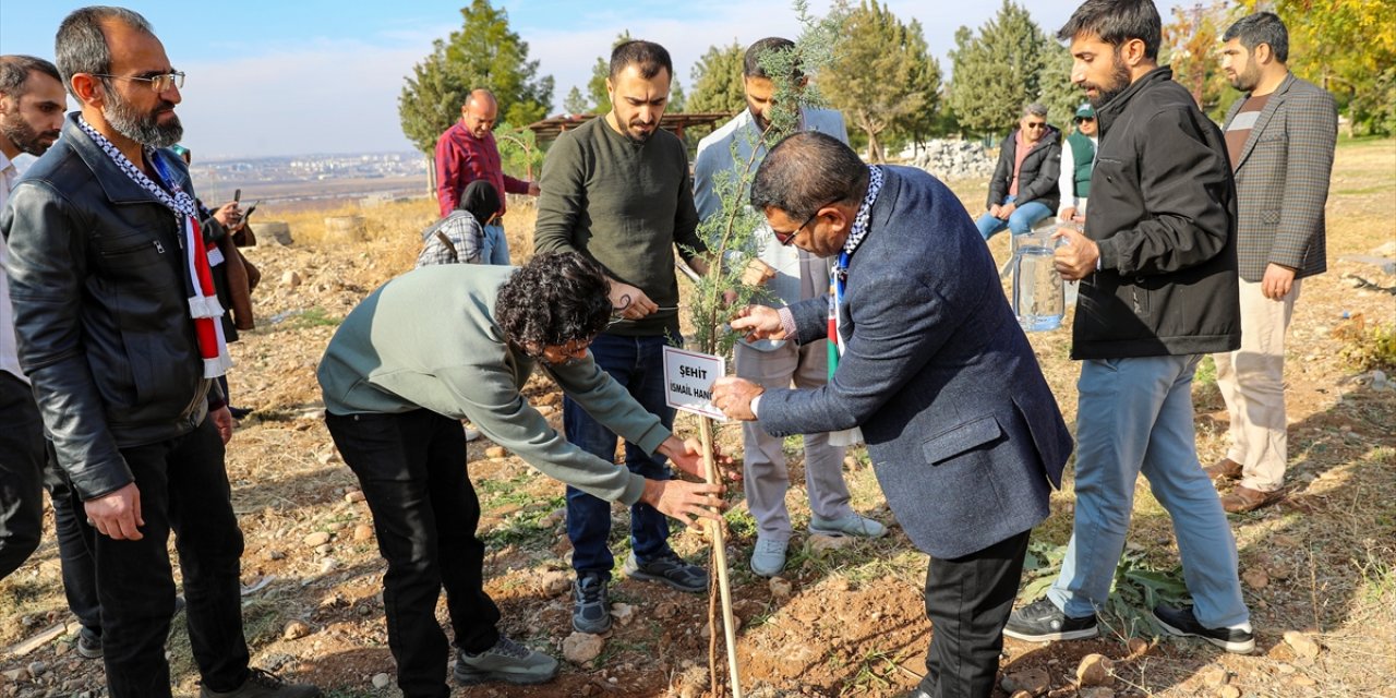 Diyarbakır'da, İsrail'in saldırılarında hayatını kaybeden Filistinliler anısına fidan dikildi