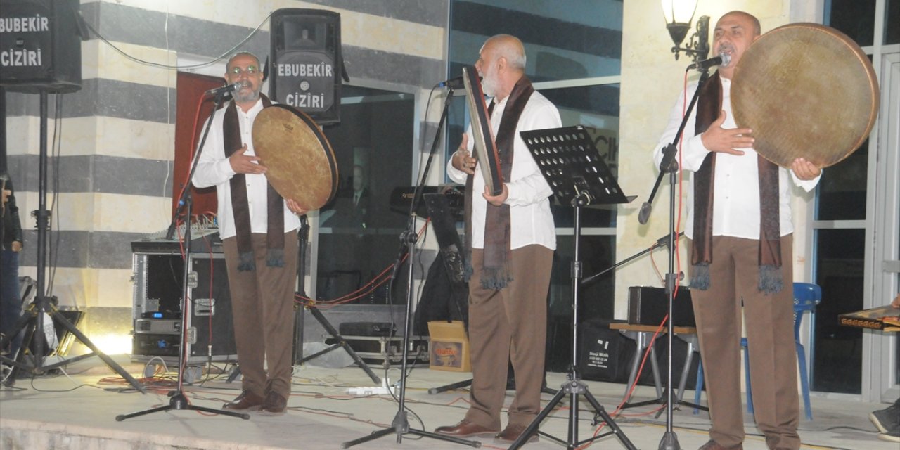 Grup Tillo Cizre'de konser verdi