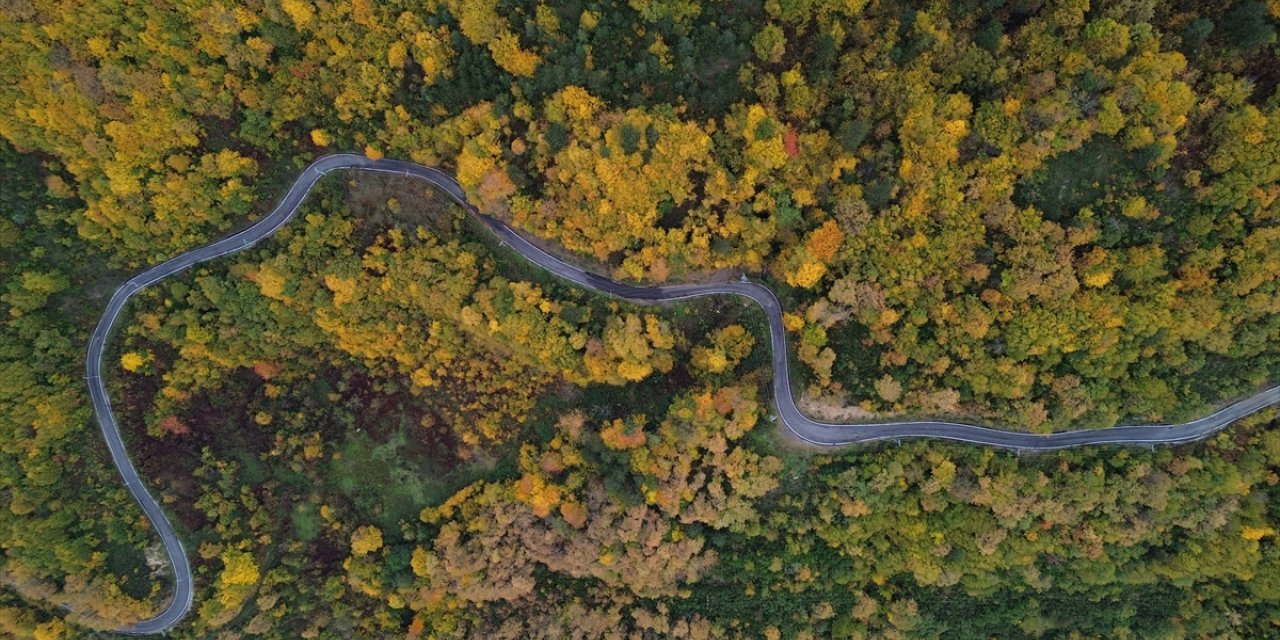 Karadeniz'de sonbahar tüm renkleriyle yaşanıyor