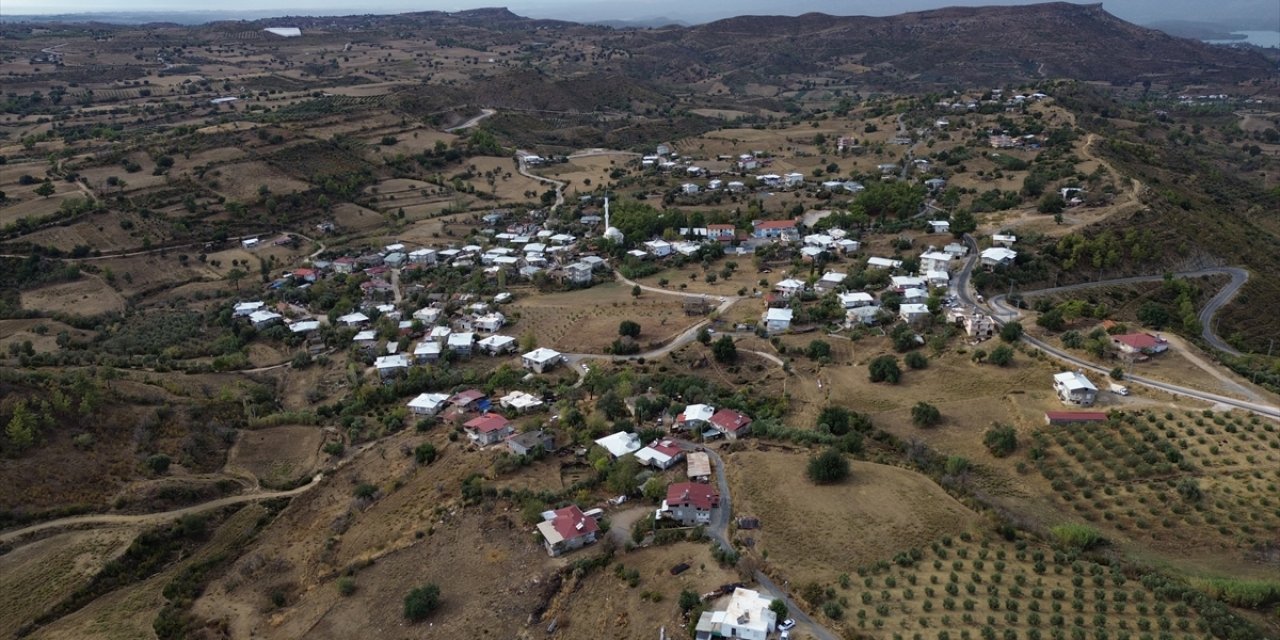 Manavgat'ta yanan alanlar yeniden sonbahar renklerine büründü