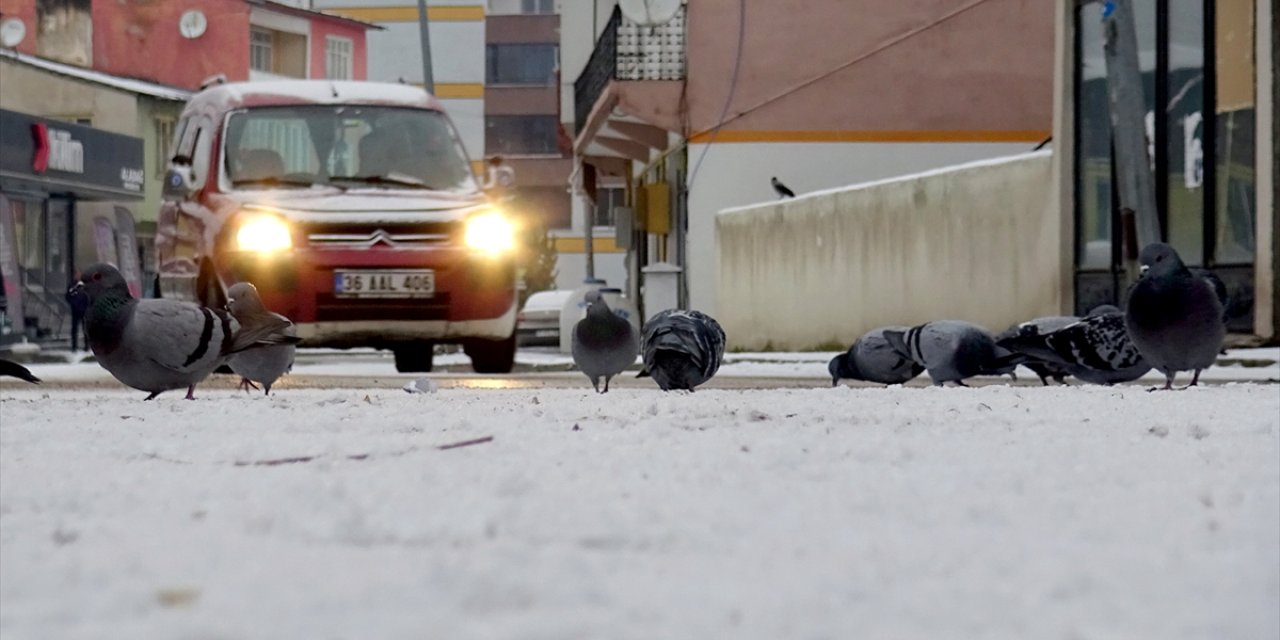 Kars, Ardahan, Ağrı ve Tunceli'de kar yağışı etkili oldu