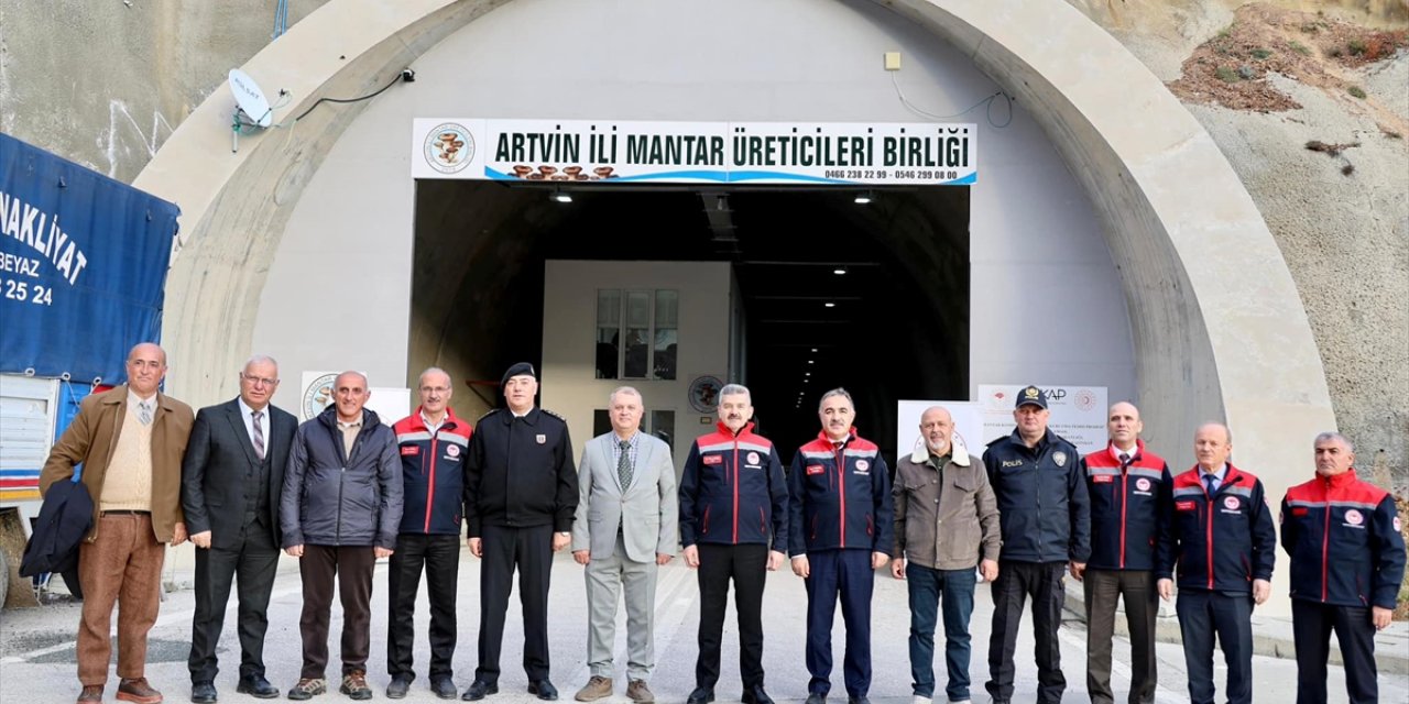 Artvin Valisi Ergün, istiridye mantarı paketleme tesisine dönüştürülen tünelde incelemede bulundu: