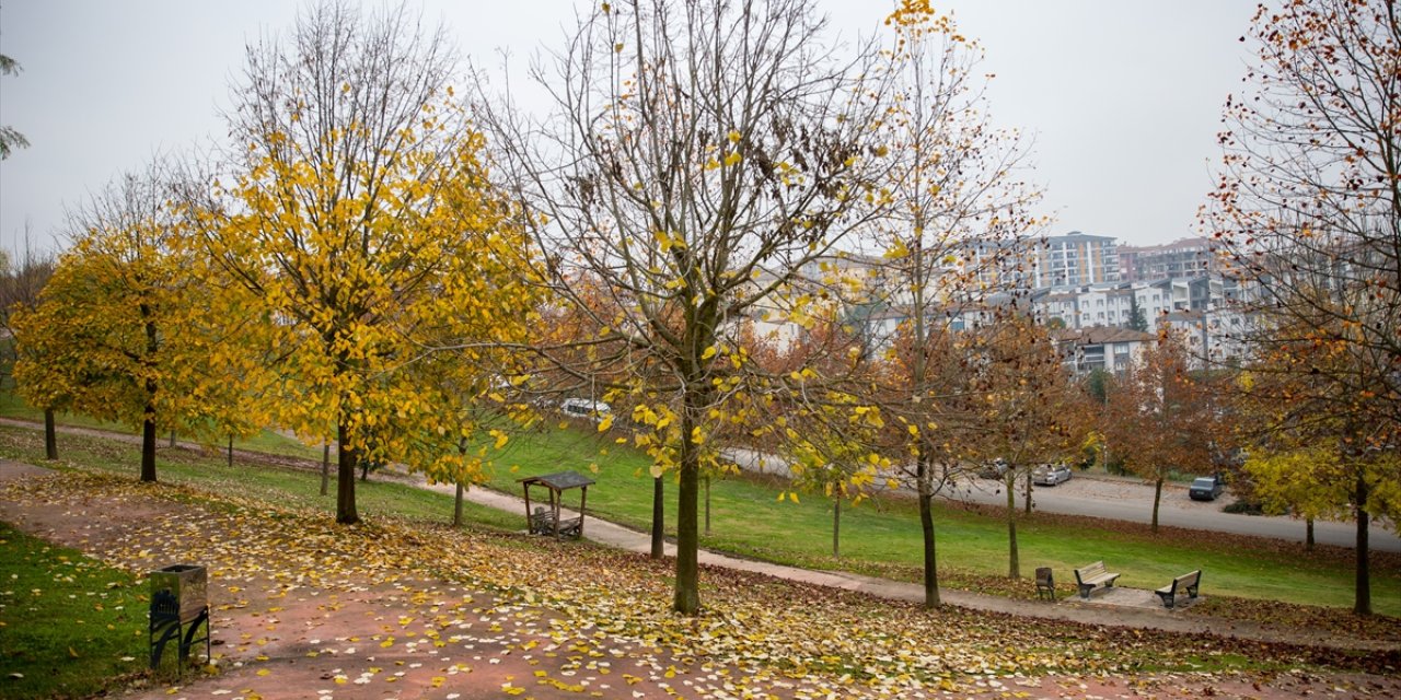 Sakarya kent merkezindeki parklar güz renkleriyle hareketlendi