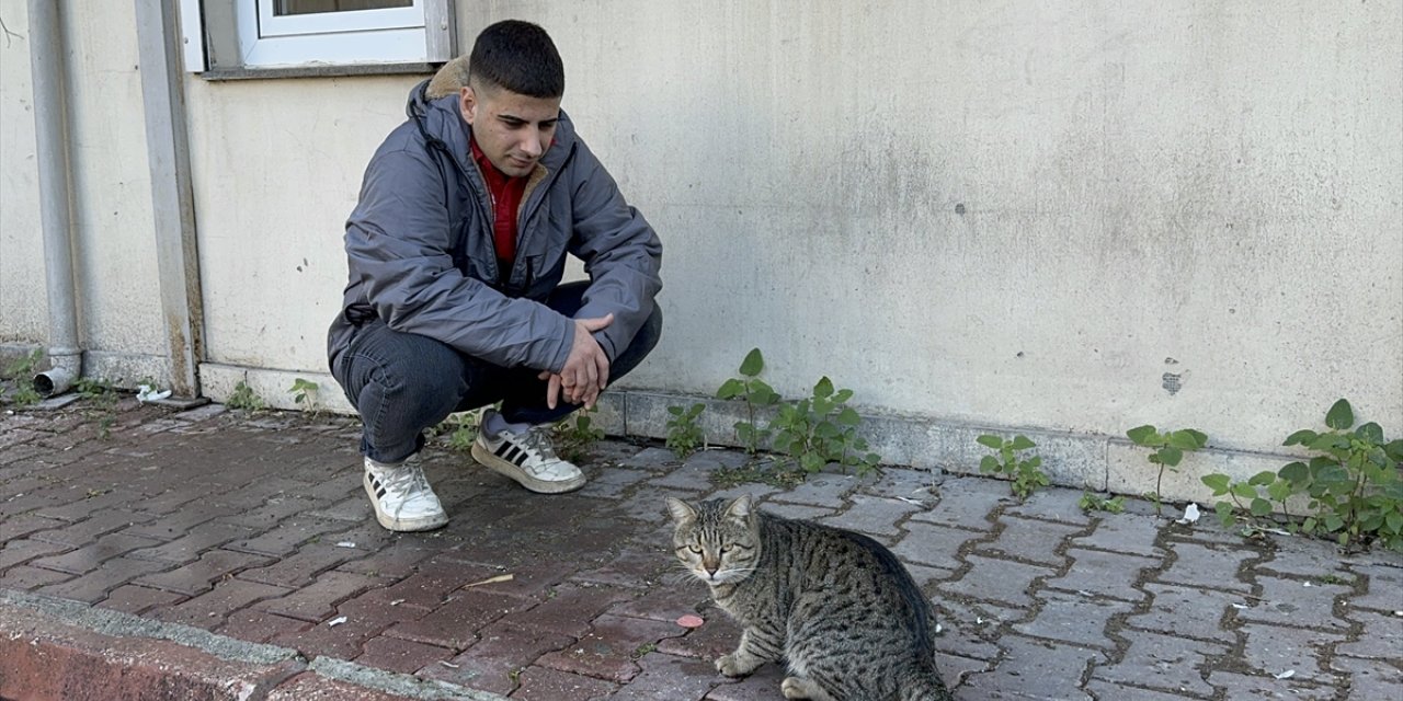 Adana'da kedinin, işçinin öğle yemeğini alıp kaçması kamerada