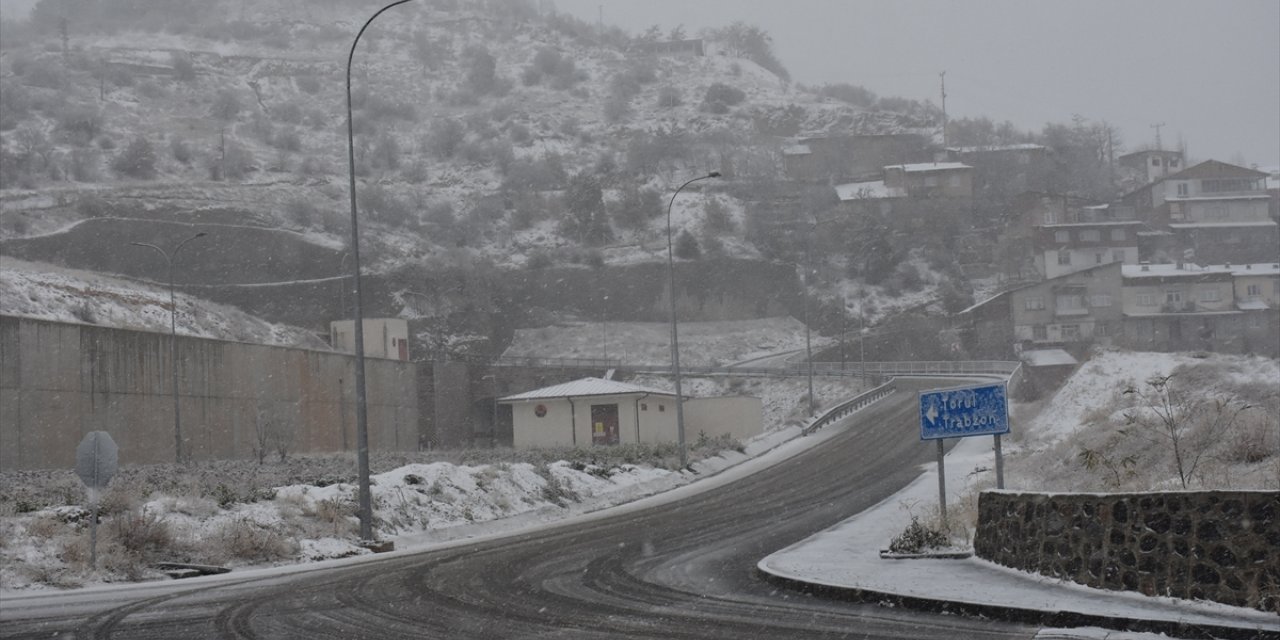 Gümüşhane ve Giresun'da kar yağışı