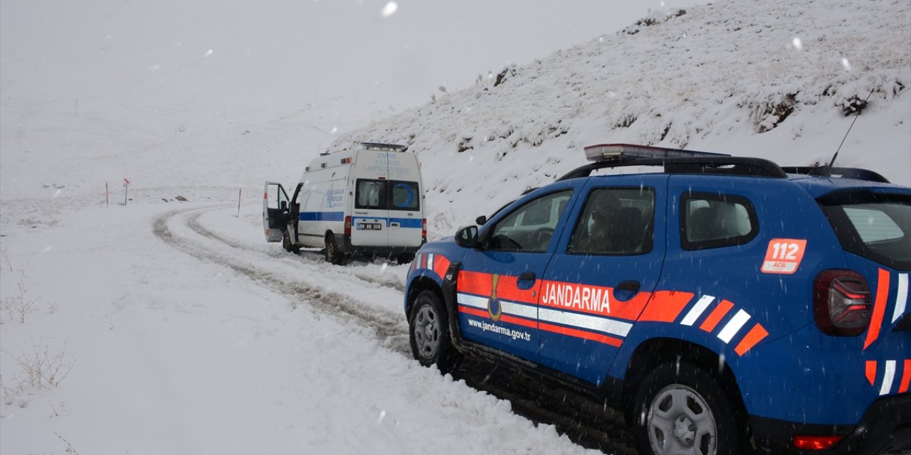 Hakkari'de kar ulaşımda aksamaya neden oldu