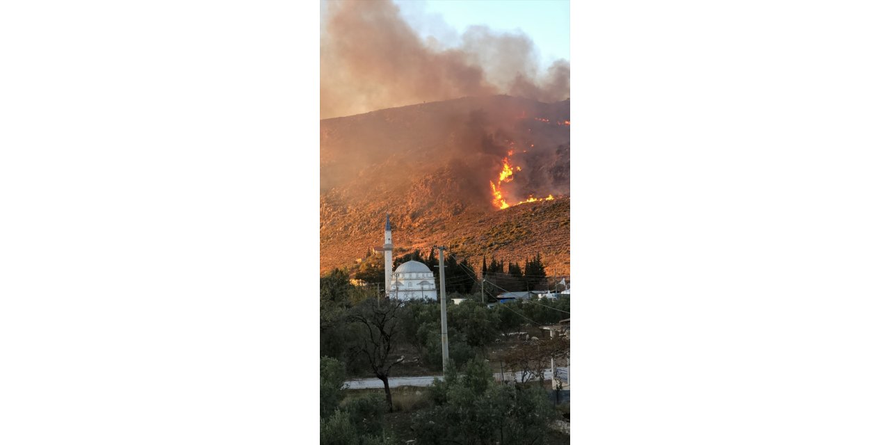 Muğla'da makilik alanda çıkan yangın kontrol altına alındı