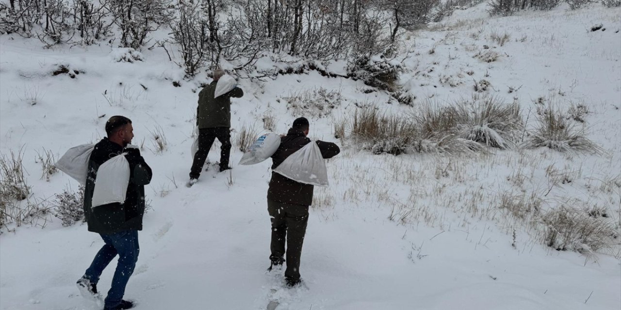 Siirt'te yaban hayvanları için doğaya yem bırakıldı