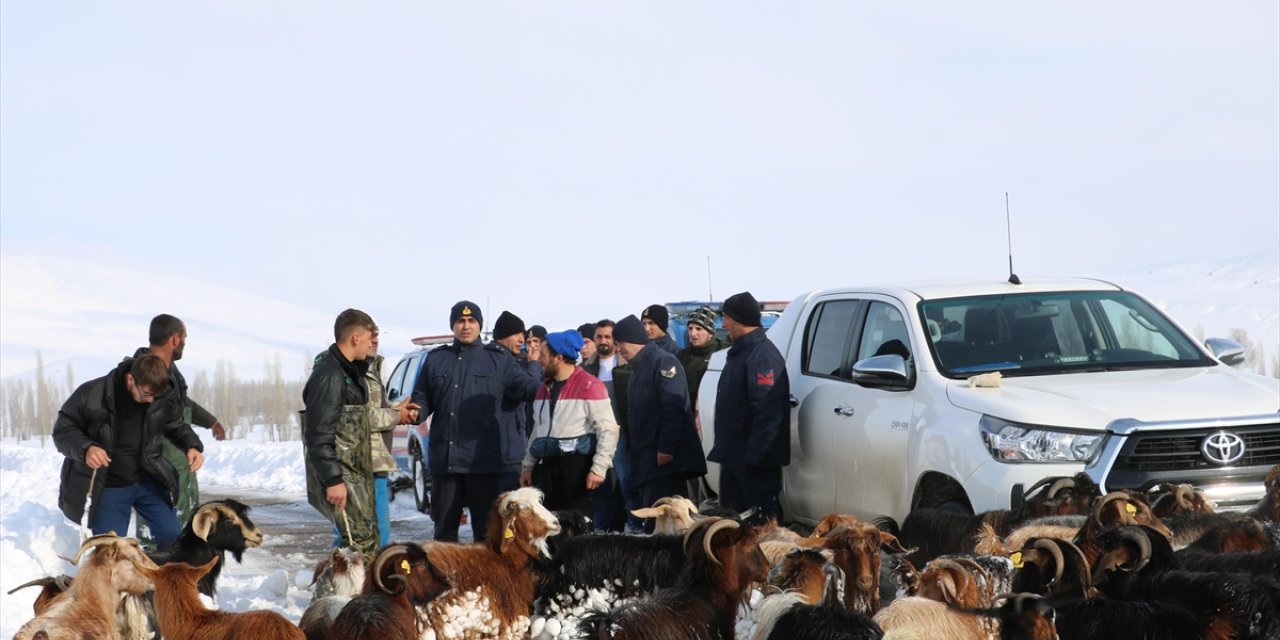 Bayburt'ta kar ve tipi nedeniyle kaybolan küçükbaş sürüsünü jandarma buldu