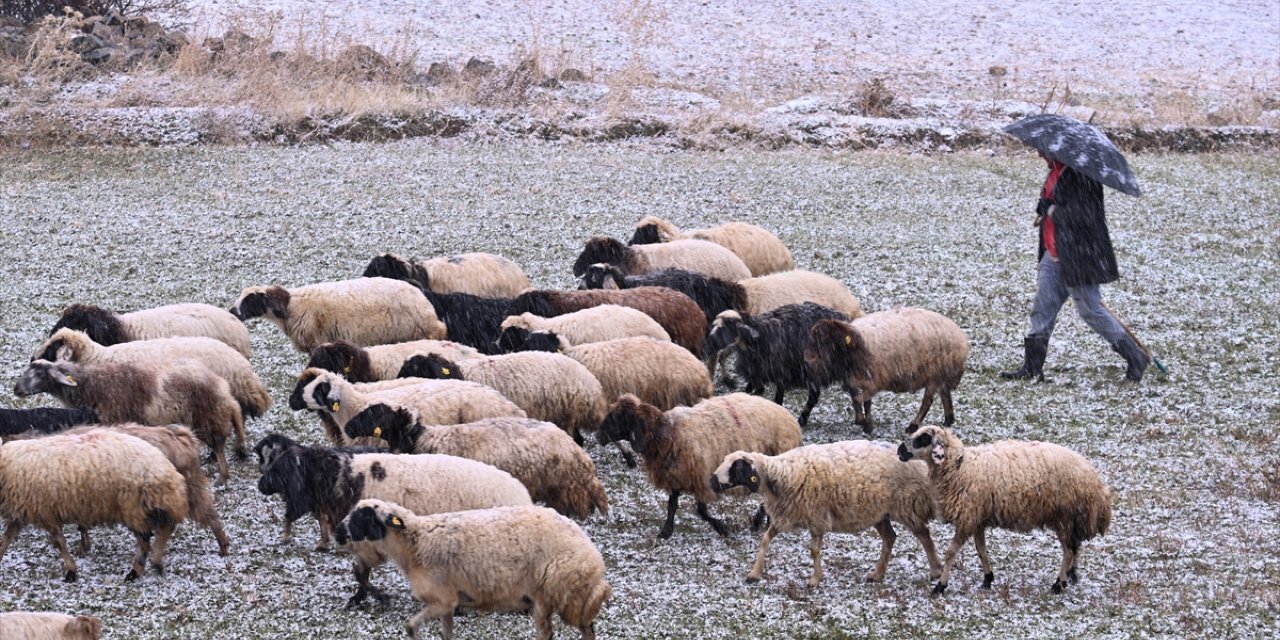 Van, Hakkari, Bitlis ve Muş'ta 283 yerleşim yerine ulaşım sağlanamıyor