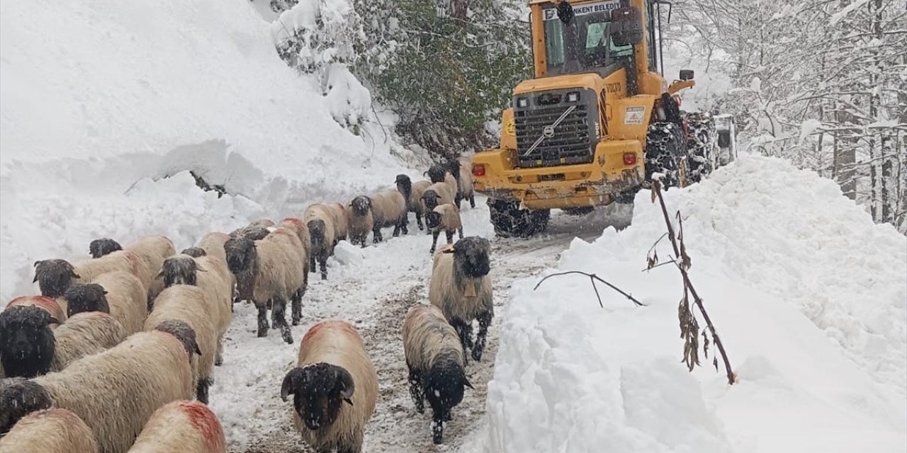 Orta ve Doğu Karadeniz'de karla mücadele çalışmaları sürüyor