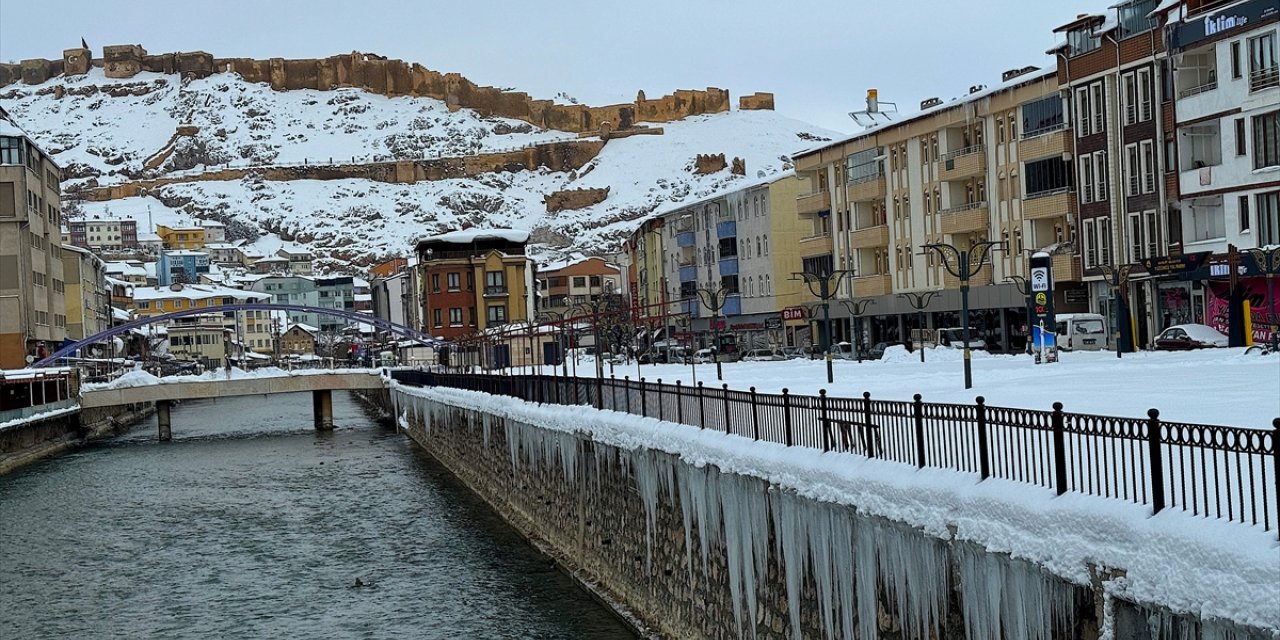 Doğu Karadeniz'de soğuk hava ve kar yaşamı olumsuz etkiliyor