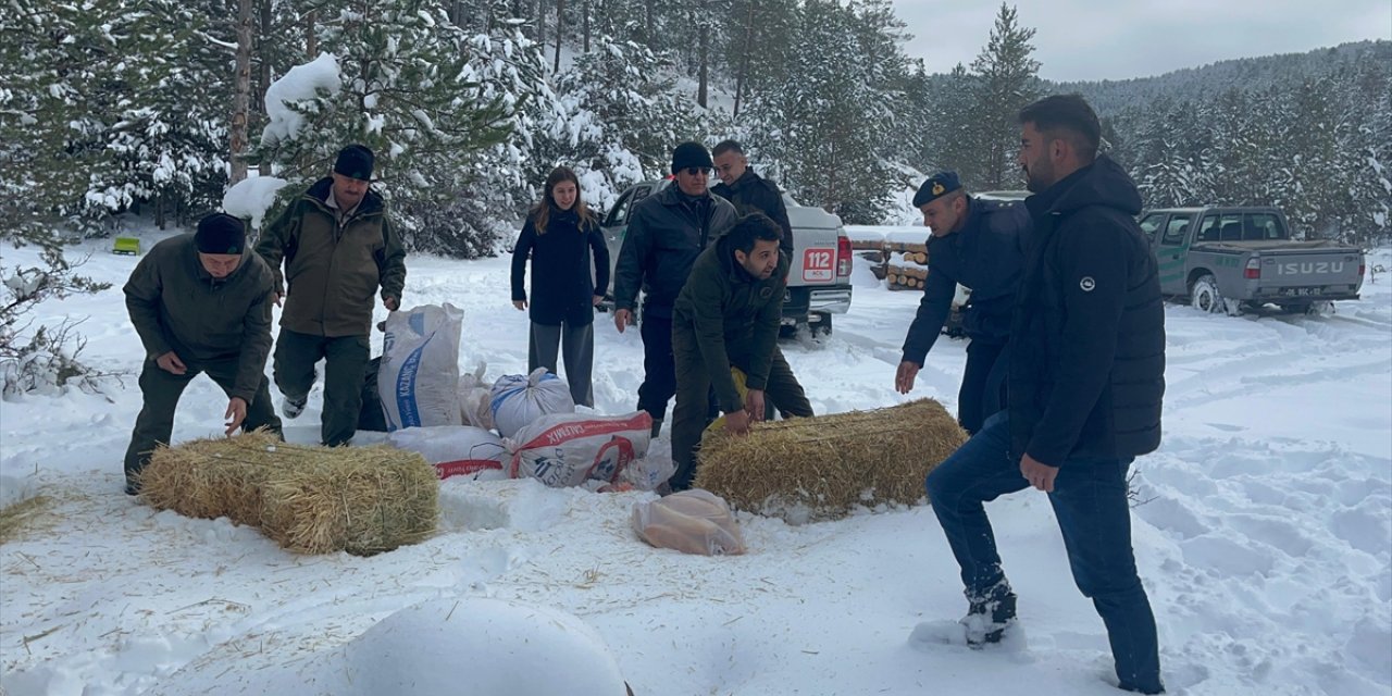 Çankırı'da karla kaplı araziye yabani hayvanlar için yem bırakıldı