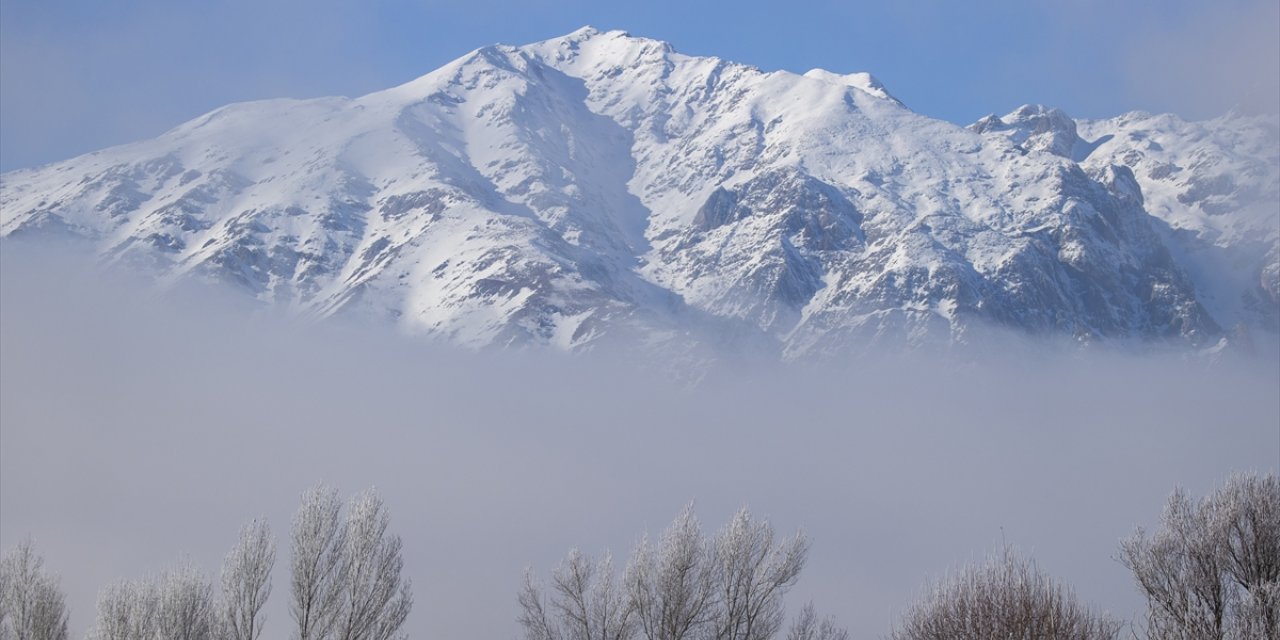 Tunceli'de dağları sis, ovalardaki ağaç ve bitkileri ise kırağı kapladı