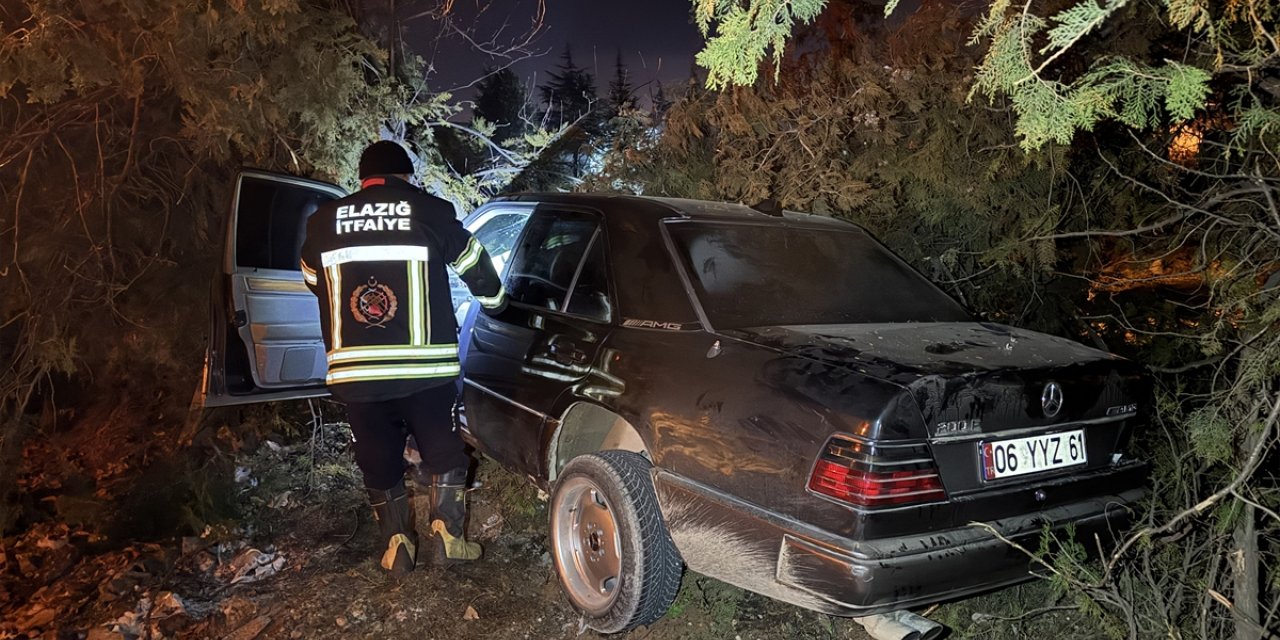 Elazığ'da ağaçlara çarpan otomobildeki 4 kişi yaralandı