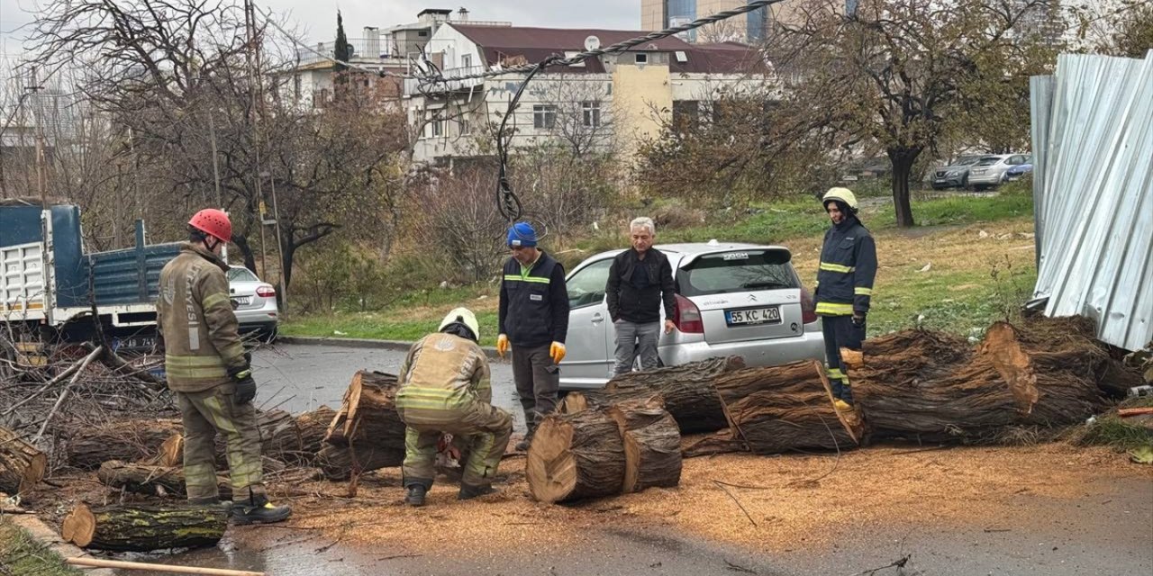 Avcılar'da yola ağaç devrildi