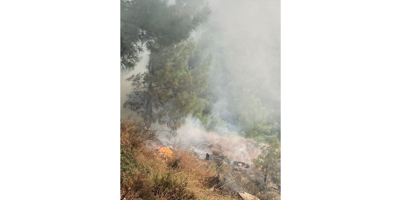 Hatay'da ormanlık alanda çıkan yangın söndürüldü