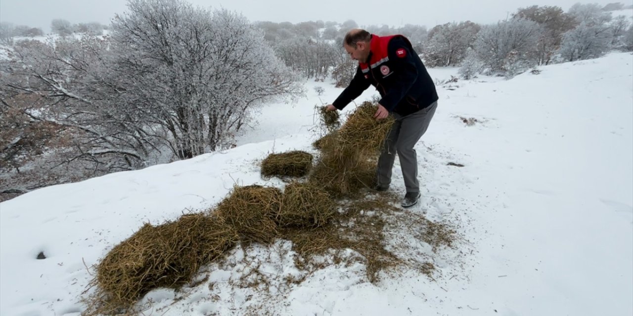 Erzincan'da yabani hayvanlar için karla kaplı arazilere yem bırakıldı