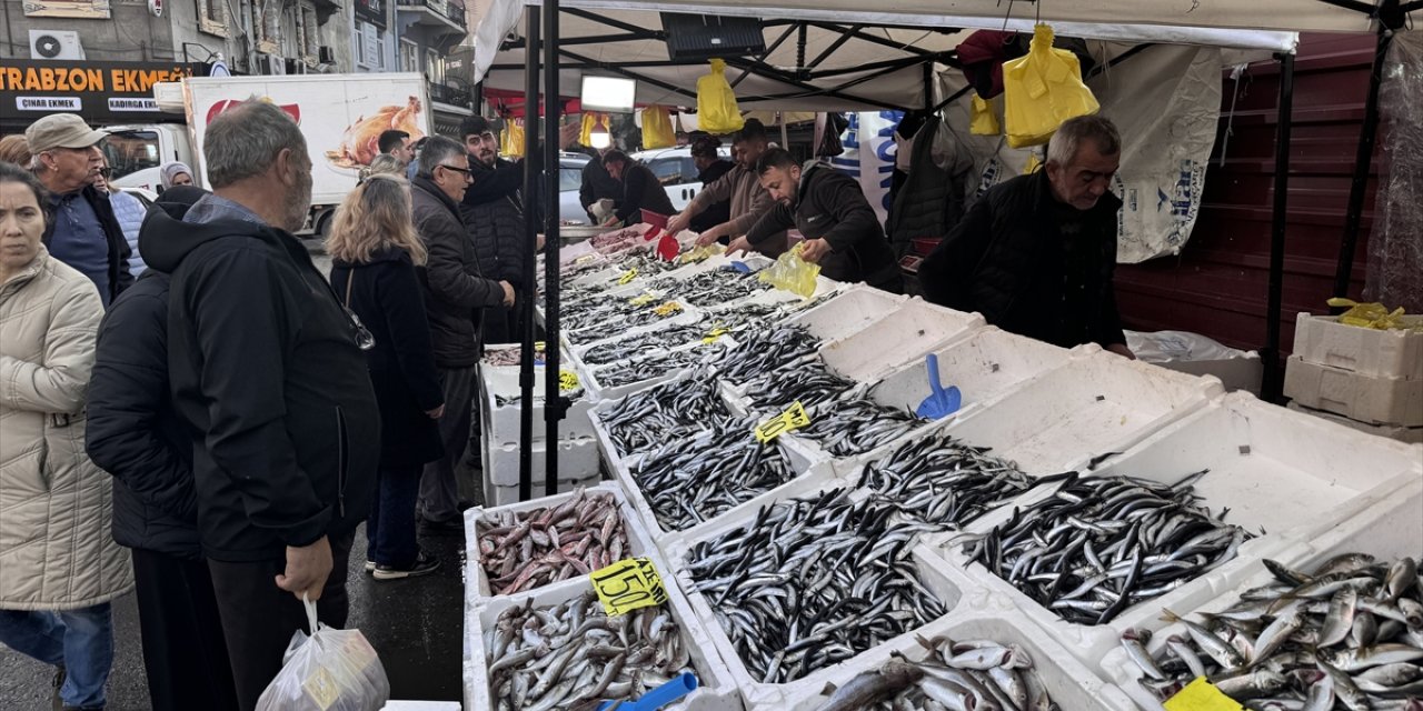 Zonguldak'ta balık tezgahlarında bolluk yaşanıyor