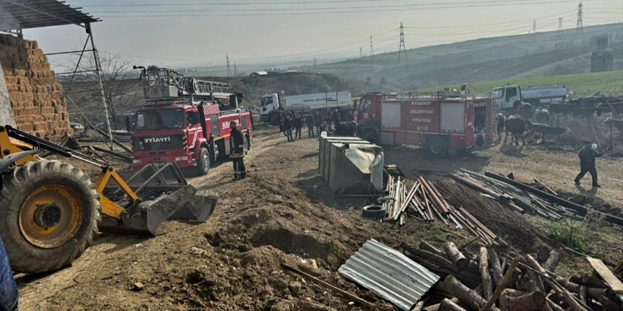 Çanakkale'de besi çiftliğinde çıkan yangında 2 kişi yaralandı