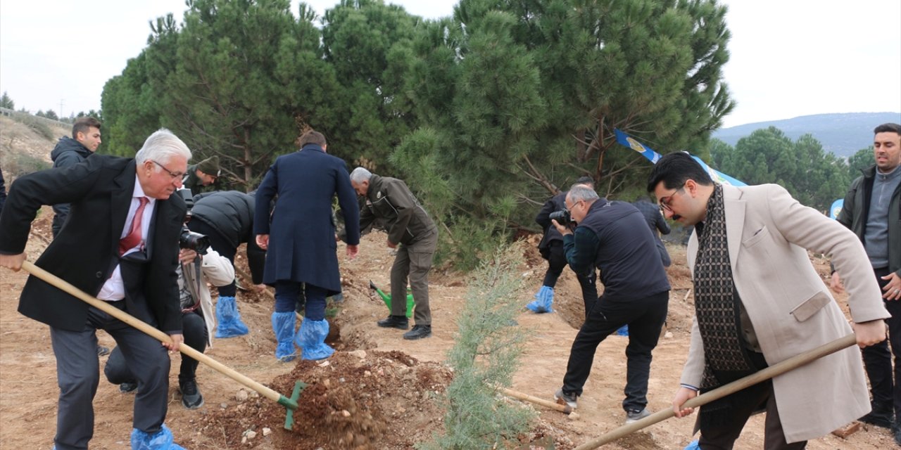 Depremlerin merkez üssü Kahramanmaraş'ta fidanlar toprakla buluşturuldu