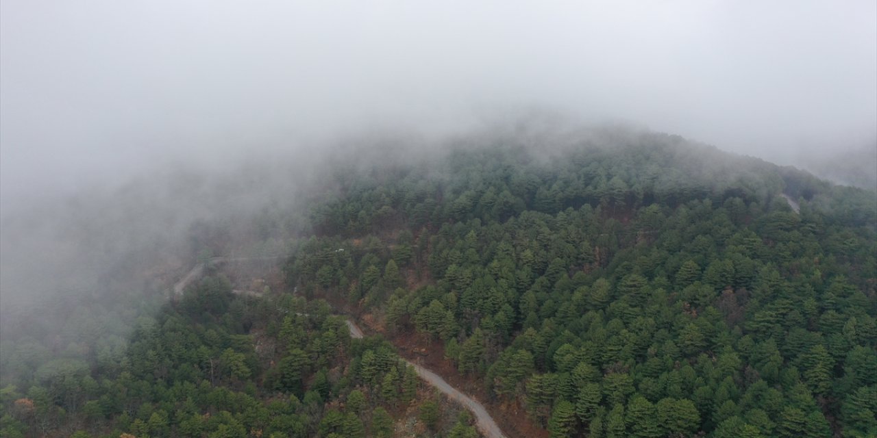 Oksijen deposu Kazdağları'nın doğal güzellikleri dronla görüntülendi