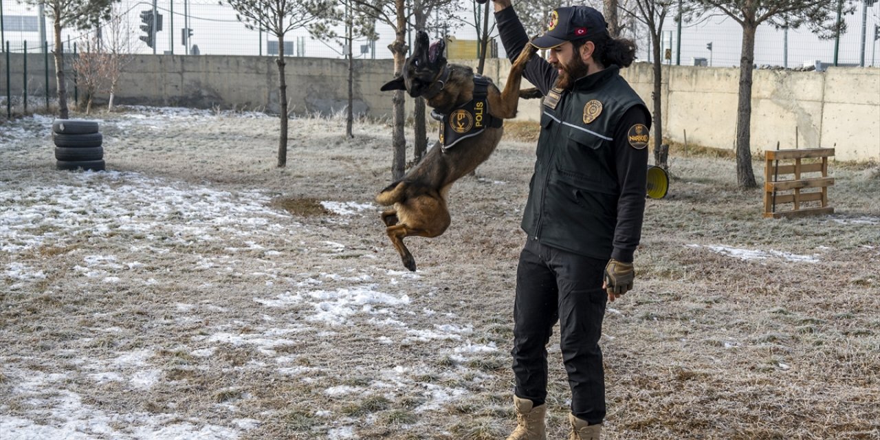 Narkotik dedektör köpeği "Şila", gizlenen pirinç tanesi kadar maddeyi dahi buluyor