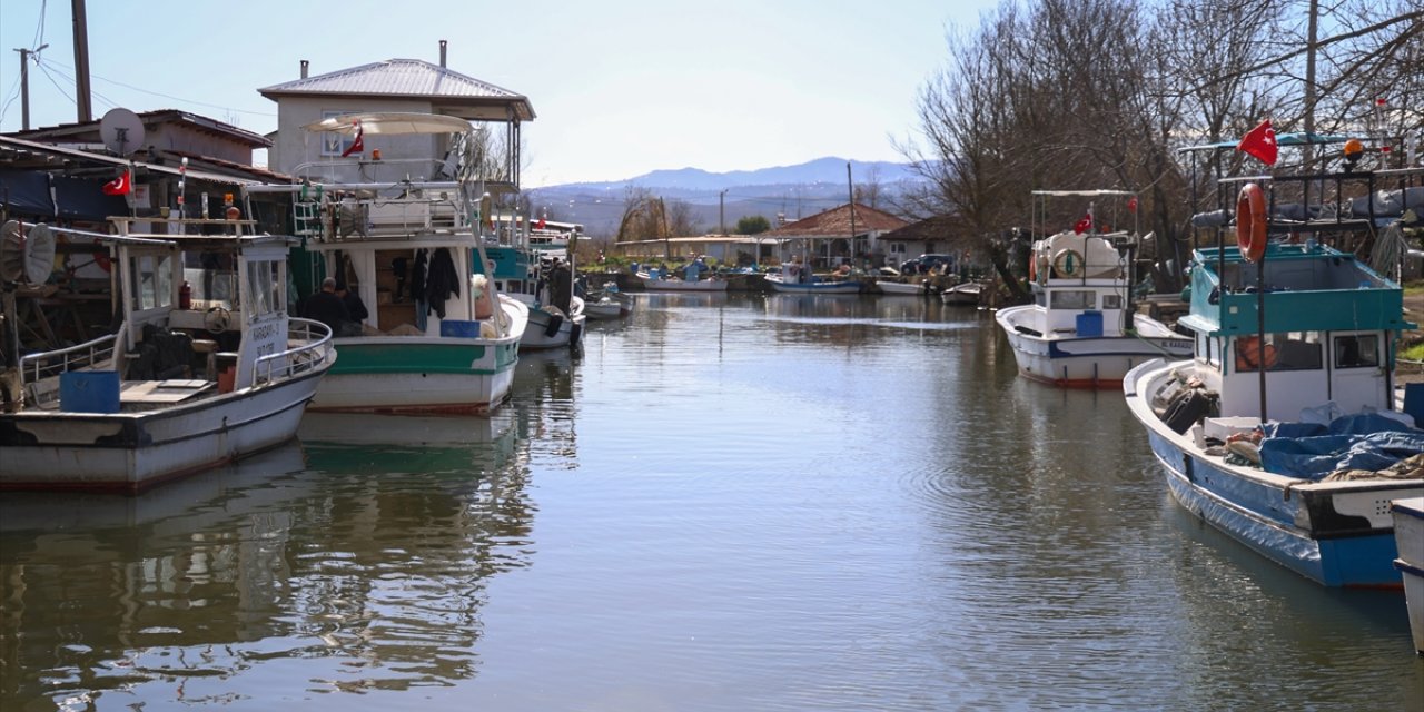 Sakarya'da balıkçılar, Karadeniz'den bol miktarda barbun ve istavritle döndü