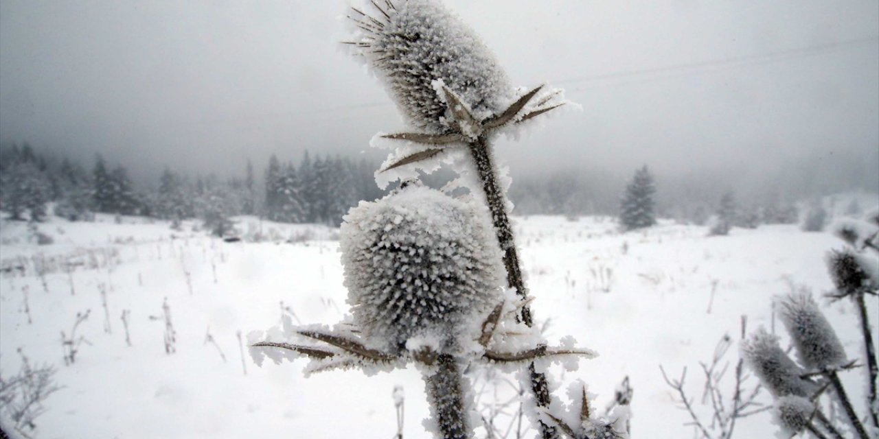 Ilgaz Dağı'nda kar ve sis etkili oldu