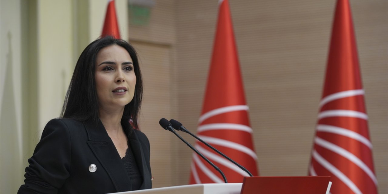 CHP Genel Başkan Yardımcısı Okakın, 2025 bütçesini değerlendirdi: