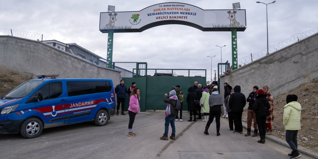 Mamak'ta hayvanların katledildiği iddiası üzerine bir grup vatandaş barınak önünde toplandı