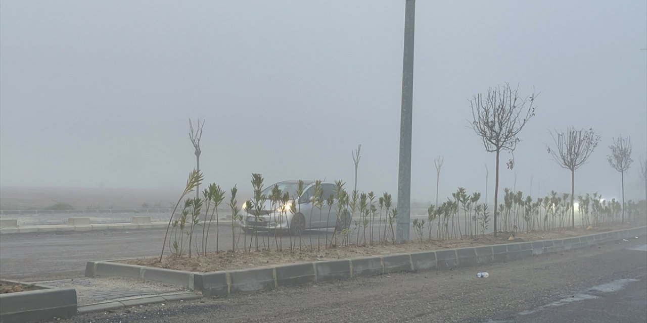 Tekirdağ'da sis etkili oldu