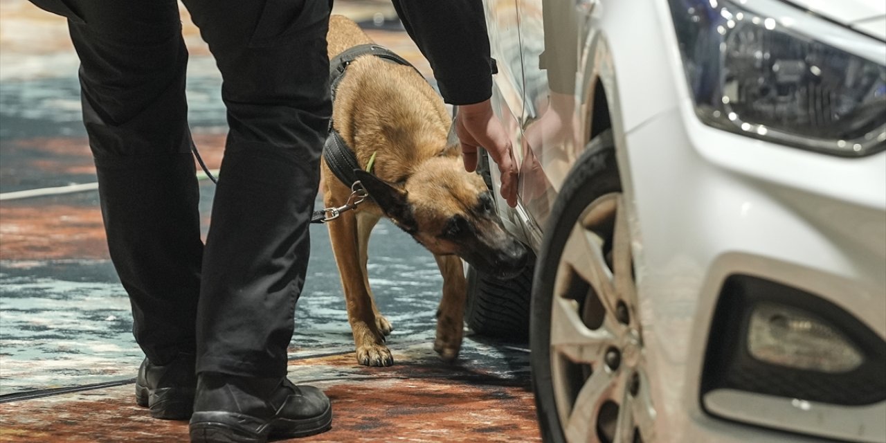 Bosna Hersek'te K9 köpekleri narkotik, silah ve patlayıcı tespiti alanlarında yarıştı