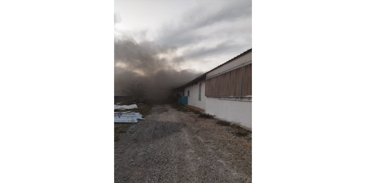 Mersin'de tavuk çiftliğinde çıkan yangın söndürüldü