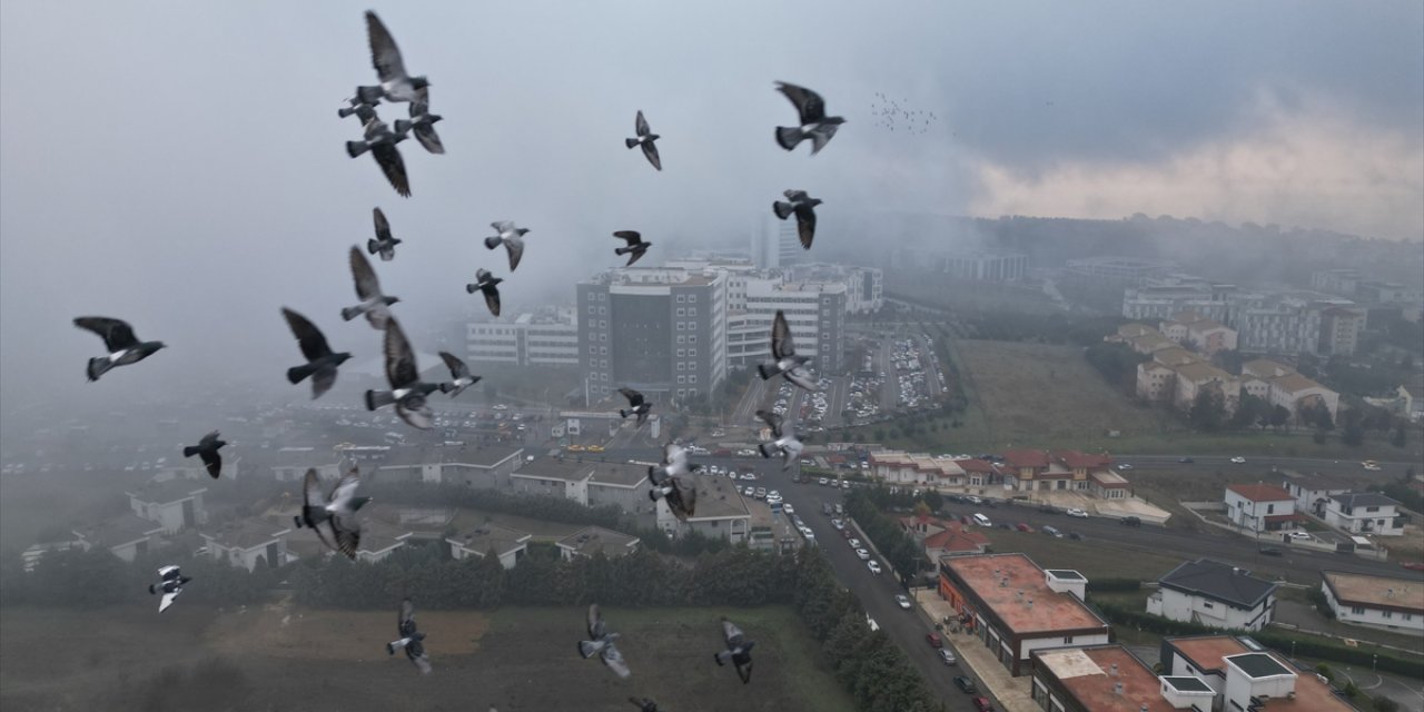 Tekirdağ'da sis etkili oldu