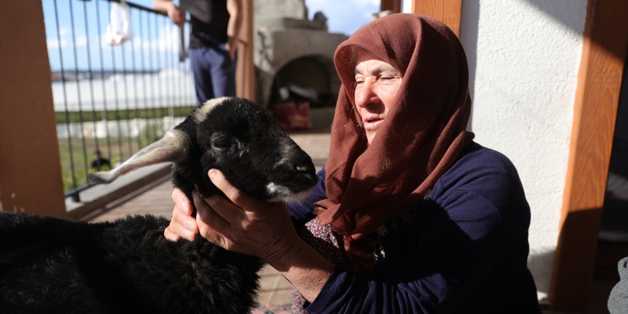 Kar fırtınasından AFAD ekiplerince kurtarılan yaşlı kadın kuzusuna kavuştu