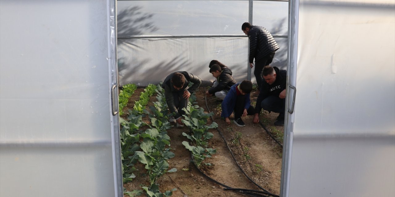 Adana'da ortaokul öğrencileri, okullarında sebze yetiştirip tavuk besliyor