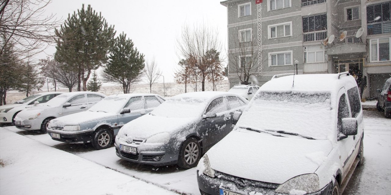 Van, Muş, Hakkari ve Bitlis'te kar etkili oldu