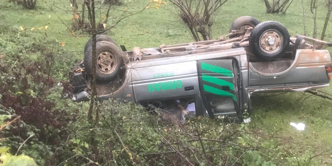 Sakarya'da fındık tarlasına devrilen kamyonetteki 5 kişi yaralandı