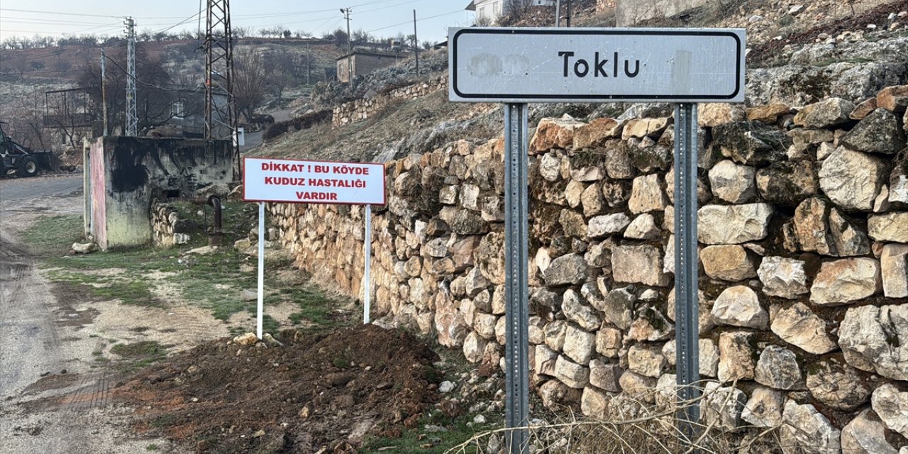 Adıyaman'da bir köy kuduz nedeniyle karantinaya alındı