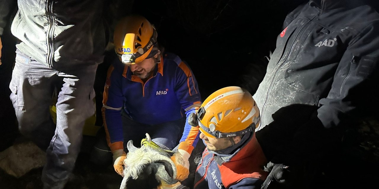 İzmir'de kayalıklarda mahsur kalan keçiyi AFAD ekipleri kurtardı