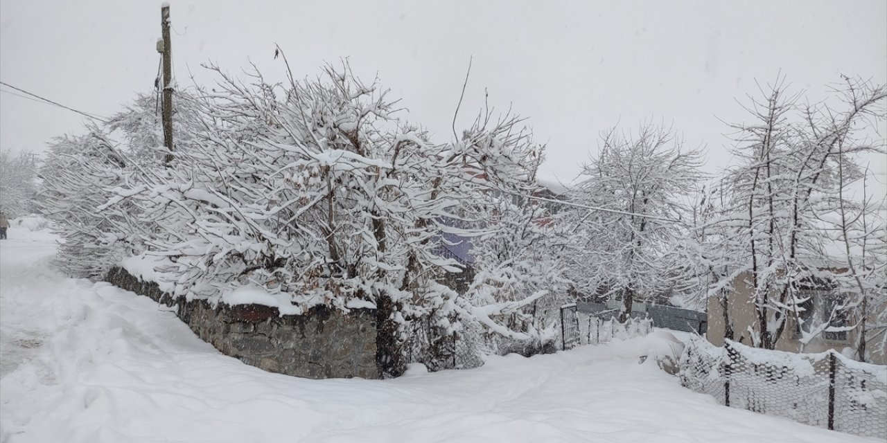 Elazığ ve Bingöl'de 92 yerleşim yerine ulaşım sağlanamıyor