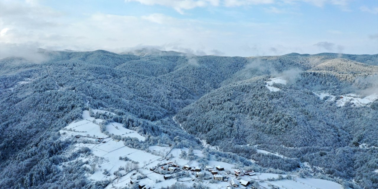 Kastamonu'nun ormanlık alanları beyaza büründü