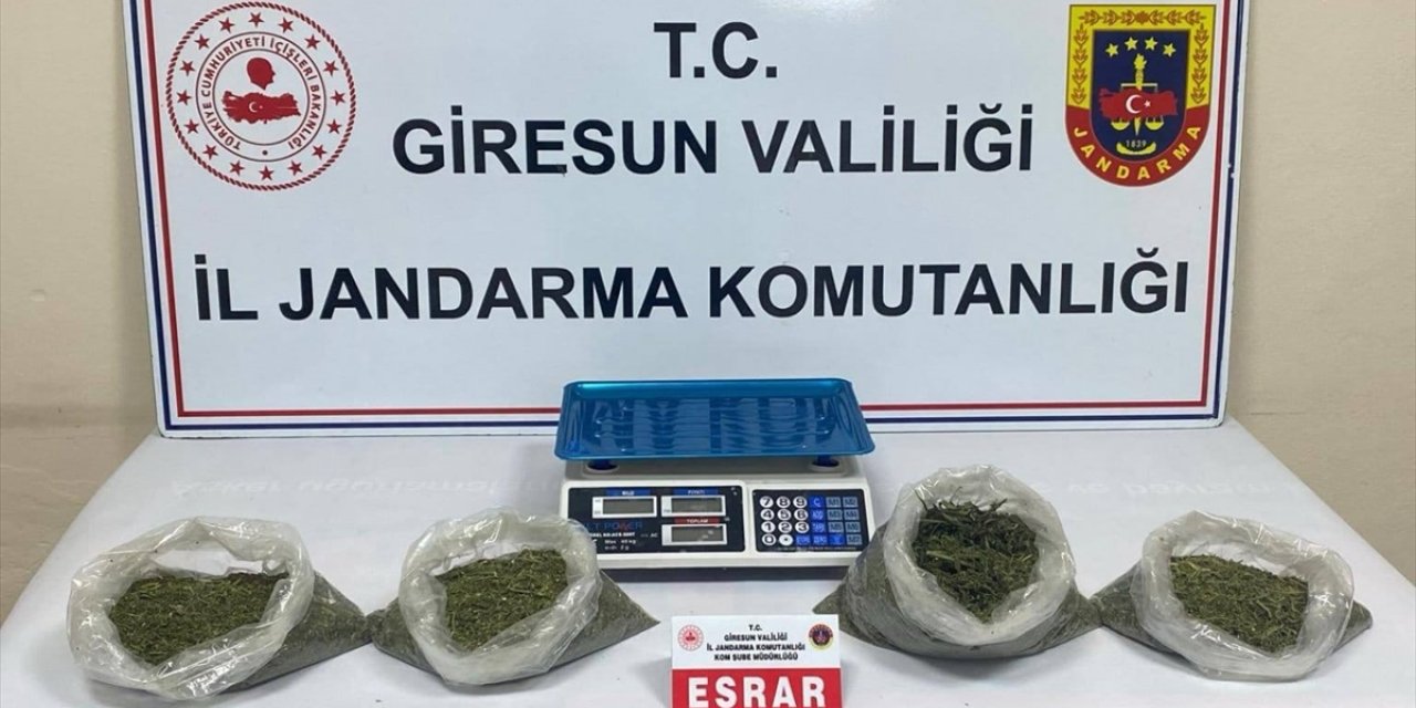 Giresun'da uyuşturucu operasyonunda 2 zanlı tutuklandı