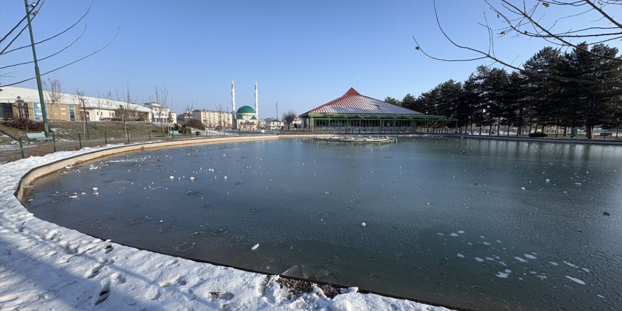 Van ve Muş'ta soğuk hava etkili oldu