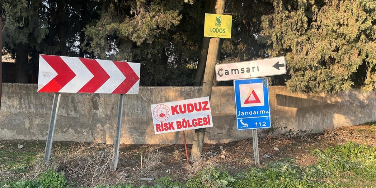 Hatay'da bir mahalle kuduz nedeniyle karantinaya alındı