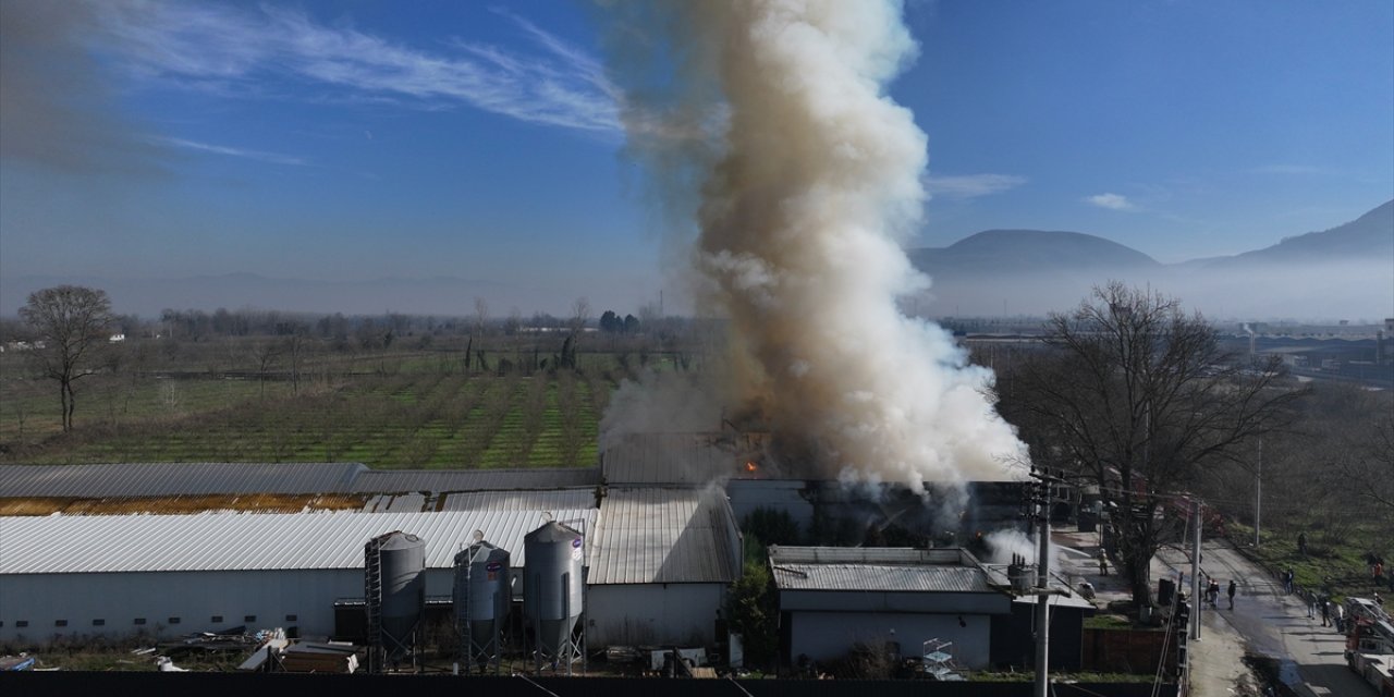 Düzce'de yumurta üretim tesisinde çıkan yangın kontrol altına alındı